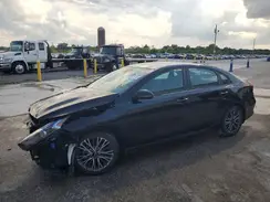 3KPF54AD9RE692199 2024 KIA FORTE