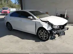 3KPF54ADXKE037619 2019 KIA FORTE