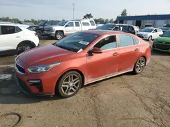 3KPF54ADXKE070877 2019 KIA FORTE
