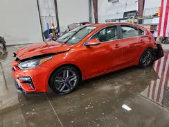 3KPF54ADXKE084455 2019 KIA FORTE