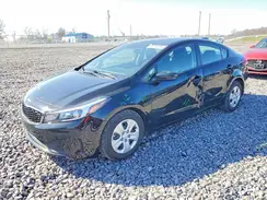 3KPFK4A70HE080877 2017 KIA FORTE