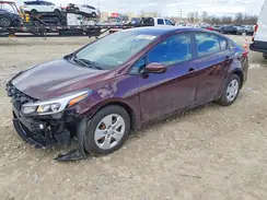 3KPFK4A70HE119449 2017 KIA FORTE
