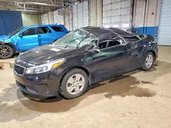 3KPFK4A71HE160835 2017 KIA FORTE