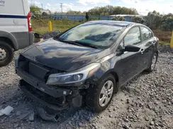 3KPFK4A72HE061103 2017 KIA FORTE