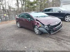 3KPFK4A72HE135359 2017 KIA FORTE