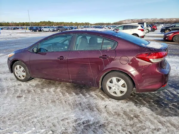 3KPFK4A74HE043461 2017 KIA FORTE - Image 2