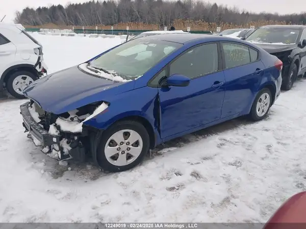 3KPFK4A74HE091056 2017 KIA FORTE - Image 2