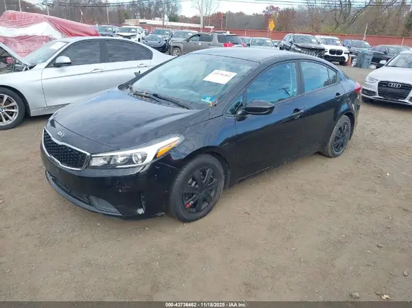 3KPFK4A74HE124797 2017 KIA FORTE - Image 2