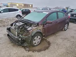 3KPFK4A75HE011442 2017 KIA FORTE