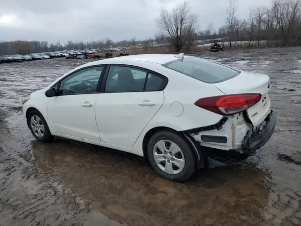 3KPFK4A77HE103264 2017 KIA FORTE - Image 2