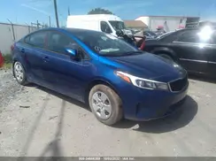 3KPFK4A77HE159981 2017 KIA FORTE