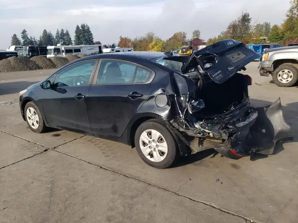 3KPFK4A78HE016019 2017 KIA FORTE - Image 2