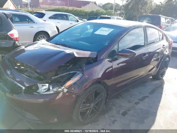 3KPFK4A78HE126391 2017 KIA FORTE - Image 2