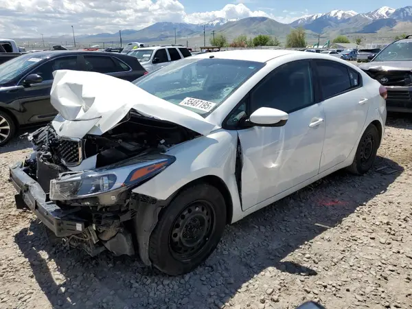 3KPFK4A7XHE029645 2017 KIA FORTE - Image 1