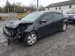 3KPFK4A7XHE066971 2017 KIA FORTE