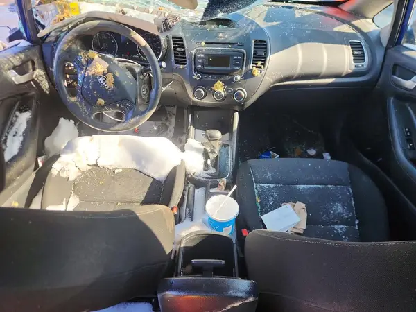 3KPFK4A7XJE213750 2018 KIA FORTE - Image 8