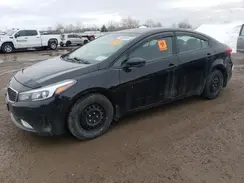 3KPFL4A77HE059649 2017 KIA FORTE