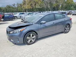 3KPFL4A79JE202445 2018 KIA FORTE