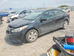 3KPFL4A7XHE029223 2017 KIA FORTE