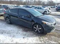 3KPFL4A81HE103590 2017 KIA FORTE