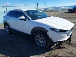 3MVDMBBL3MM225412 2021 MAZDA CX-30