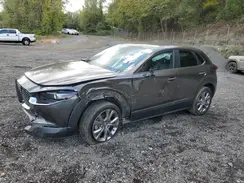 3MVDMBBL7MM312780 2021 MAZDA CX-30