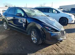 3MVDMBBLXMM203892 2021 MAZDA CX-30
