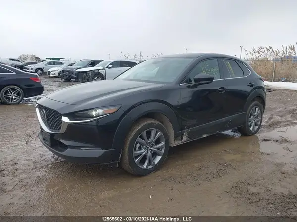 3MVDMBCM6RM701585 2024 MAZDA CX-30 - Image 2