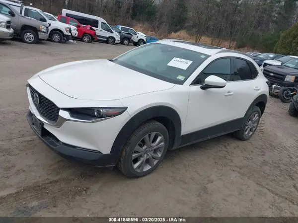 3MVDMBDM8MM216520 2021 MAZDA CX-30 - Image 2