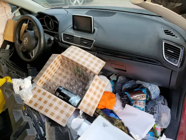 3MZBM1U7XGM241742 2016 MAZDA 3 - Image 8