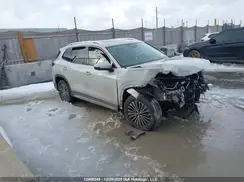 3VVMR7RM2SM020970 2025 VOLKSWAGEN TIGUAN