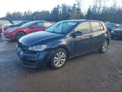 3VW117AU1GM040989 2016 VOLKSWAGEN GOLF