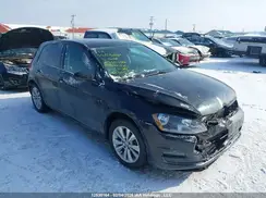 3VW117AU7GM068229 2016 VOLKSWAGEN GOLF
