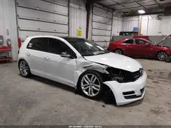 3VW217AU8GM065232 2016 VOLKSWAGEN GOLF
