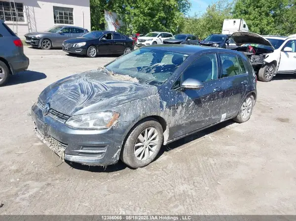 3VW217AU9HM015487 2017 VOLKSWAGEN GOLF - Image 2