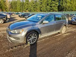 3VWH17AU1HM524399 2017 VOLKSWAGEN GOLF