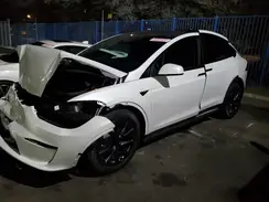 465516 2025 TESLA MODEL X