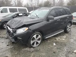 4JGDA0EB1GA700263 2016 MERCEDES-BENZ GLE