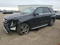 4JGDA2EB2GA687003 2016 MERCEDES-BENZ GLE