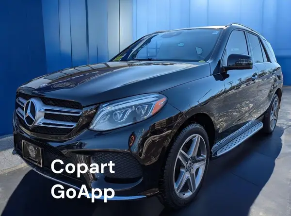4JGDA5GB0GA665161 2016 MERCEDES-BENZ GLE - Image 2