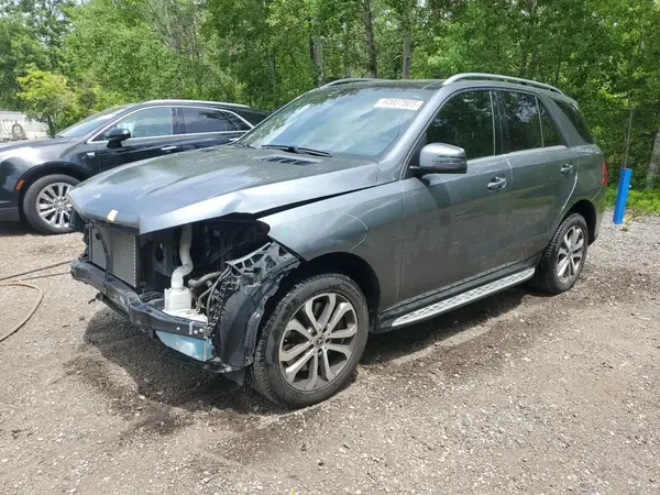 4JGDA5GB0HA989809 2017 MERCEDES-BENZ GLE - Image 1