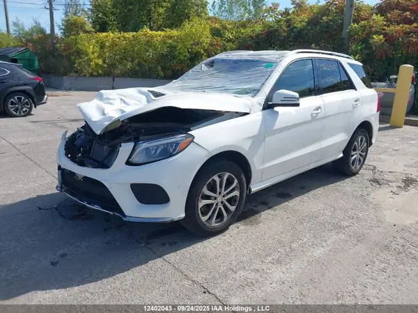 4JGDA5GB6HA878505 2017 MERCEDES-BENZ GLE - Image 2