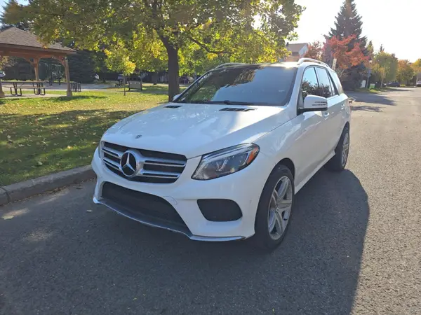 4JGDA5GB9KB202468 2019 MERCEDES-BENZ GLE - Image 2