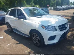 4JGDA5HB0GA685876 2016 MERCEDES-BENZ GLE