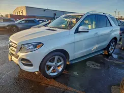 4JGDA5HB0GA706094 2016 MERCEDES-BENZ GLE