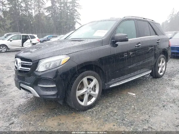 4JGDA5HB0HA895296 2017 MERCEDES-BENZ GLE - Image 2