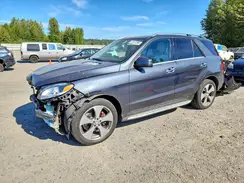4JGDA5HB2GA651843 2016 MERCEDES-BENZ GLE