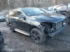 4JGDA5HB4HA923486 2017 MERCEDES-BENZ GLE