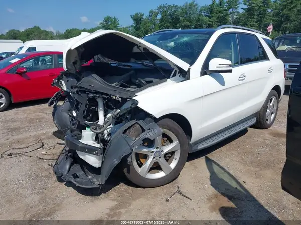 4JGDA5HB6HA894234 2017 MERCEDES-BENZ GLE - Image 2