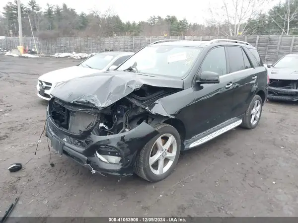 4JGDA5HB7GA809674 2016 MERCEDES-BENZ GLE - Image 2